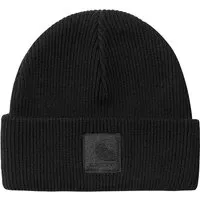 Carhartt WIP Milo Beanie