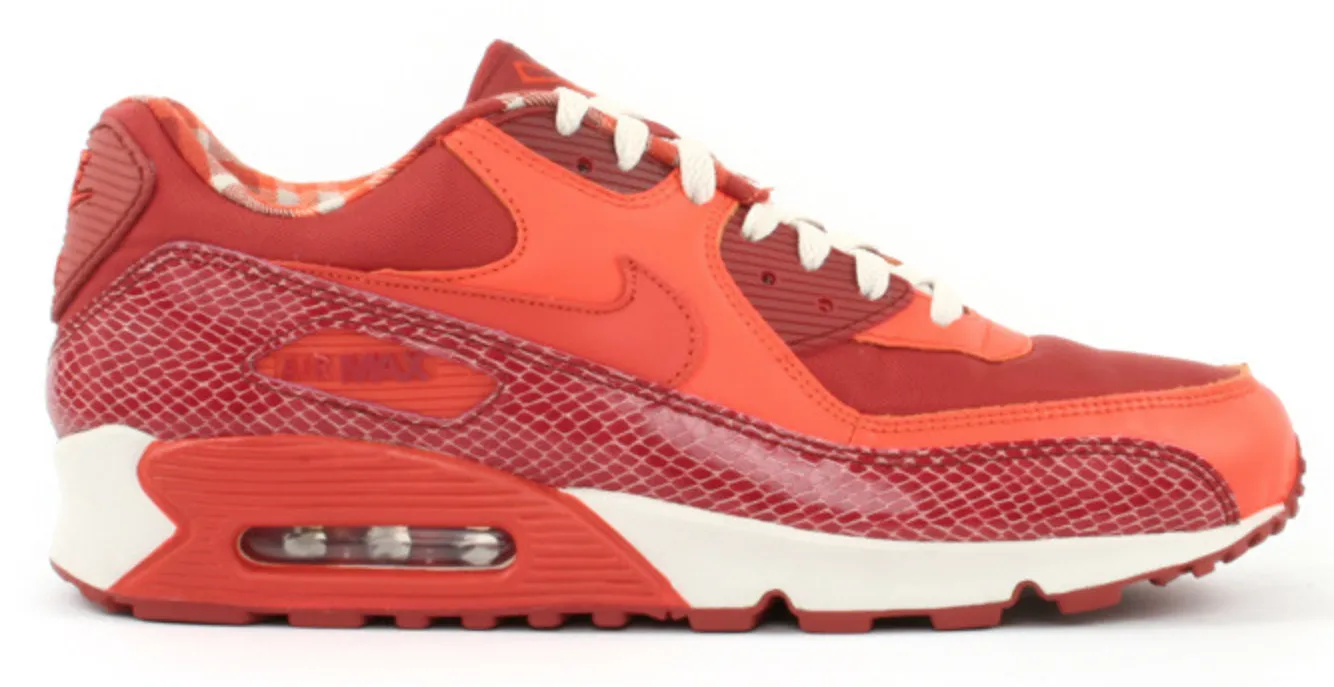 Nike Air Max 90 Steve Nash