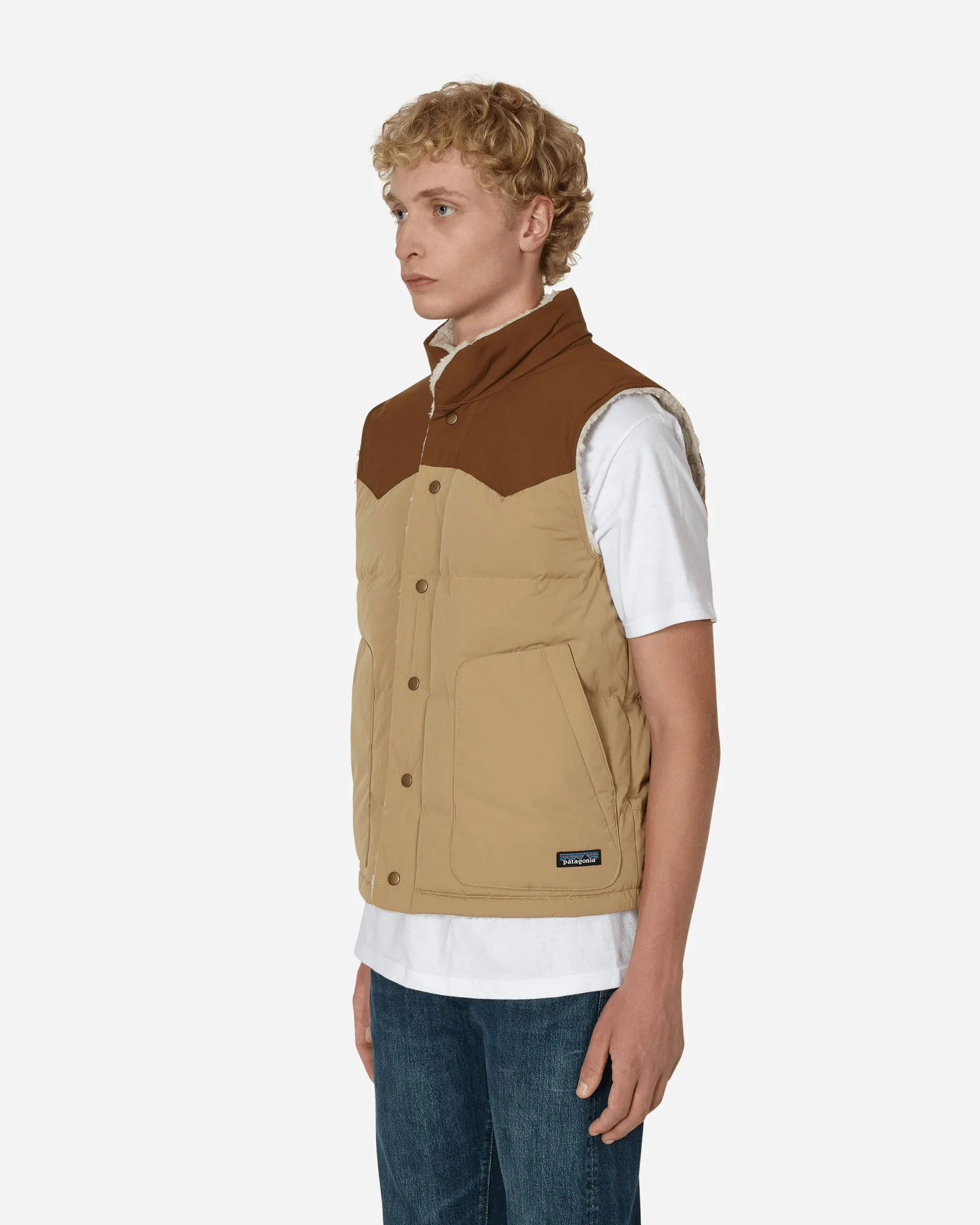 Patagonia Reversible Bivy Down Vest